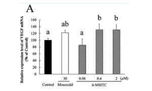 ワサビ成分の育毛効果