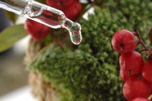 ウィンターグリーンオイル（精油）