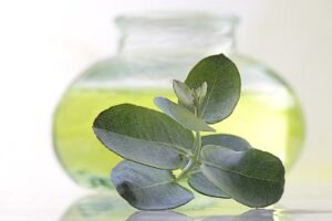 ユーカリ・シトリオドラ（精油）