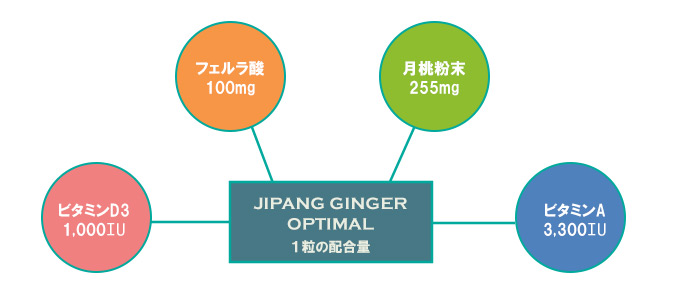ジパングジンジャー