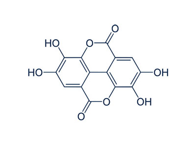 ジパングジンジャー